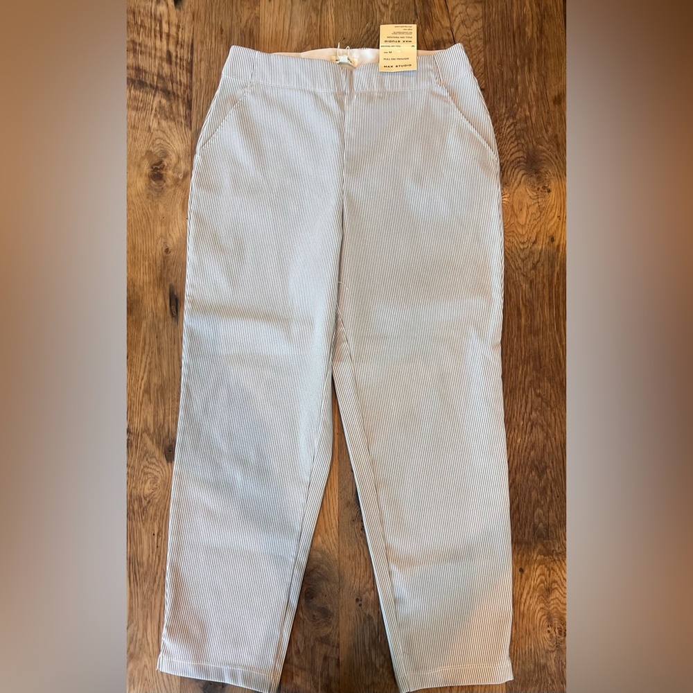 Max Studio Striped Pull On Trousers